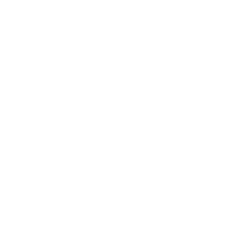 RS21 logo di colore bianco.